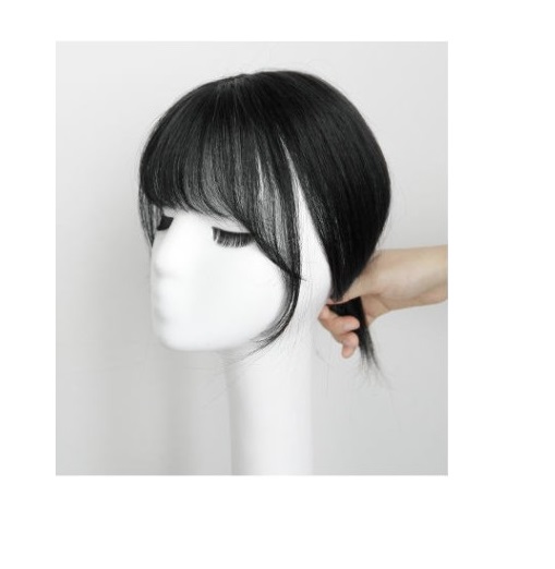 Real Hair Covering the Top of Thin Bangs in 360 Degree Form, Parting Length 9in
